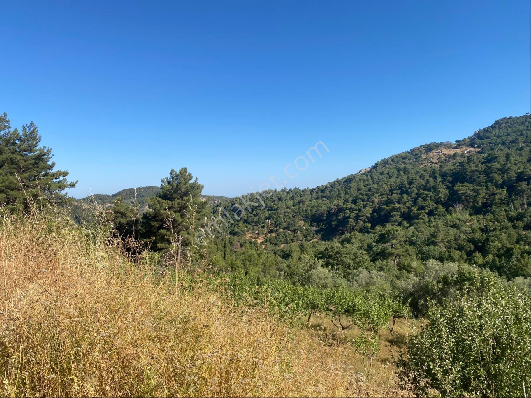 İgo Emlaktan Ahmetçe Köyünde Fırsat Tarla - Görsel 22