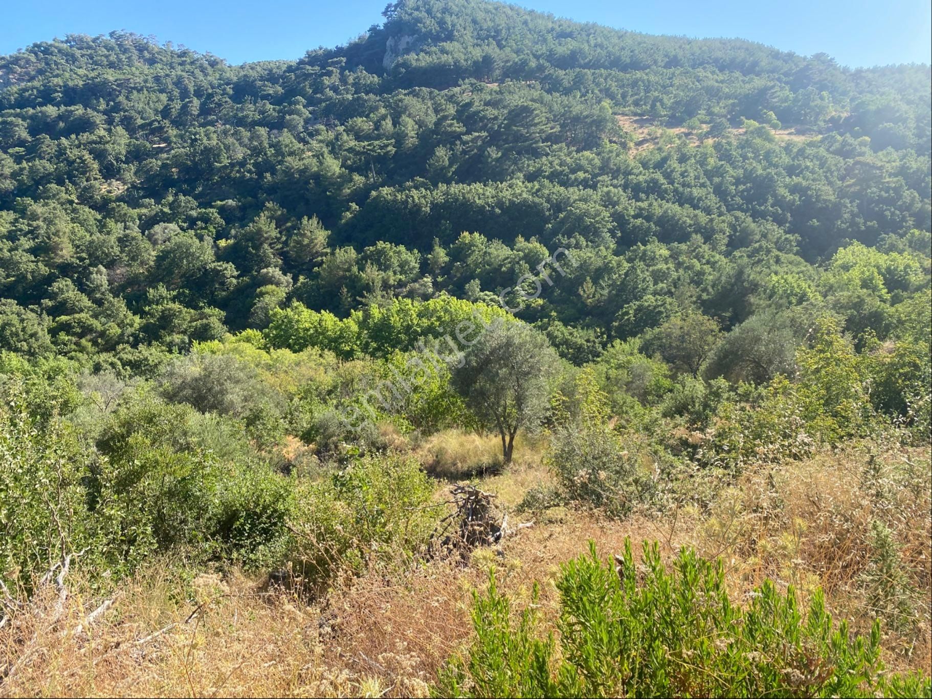 İgo Emlaktan Ahmetçe Köyünde Fırsat Tarla - Görsel 20