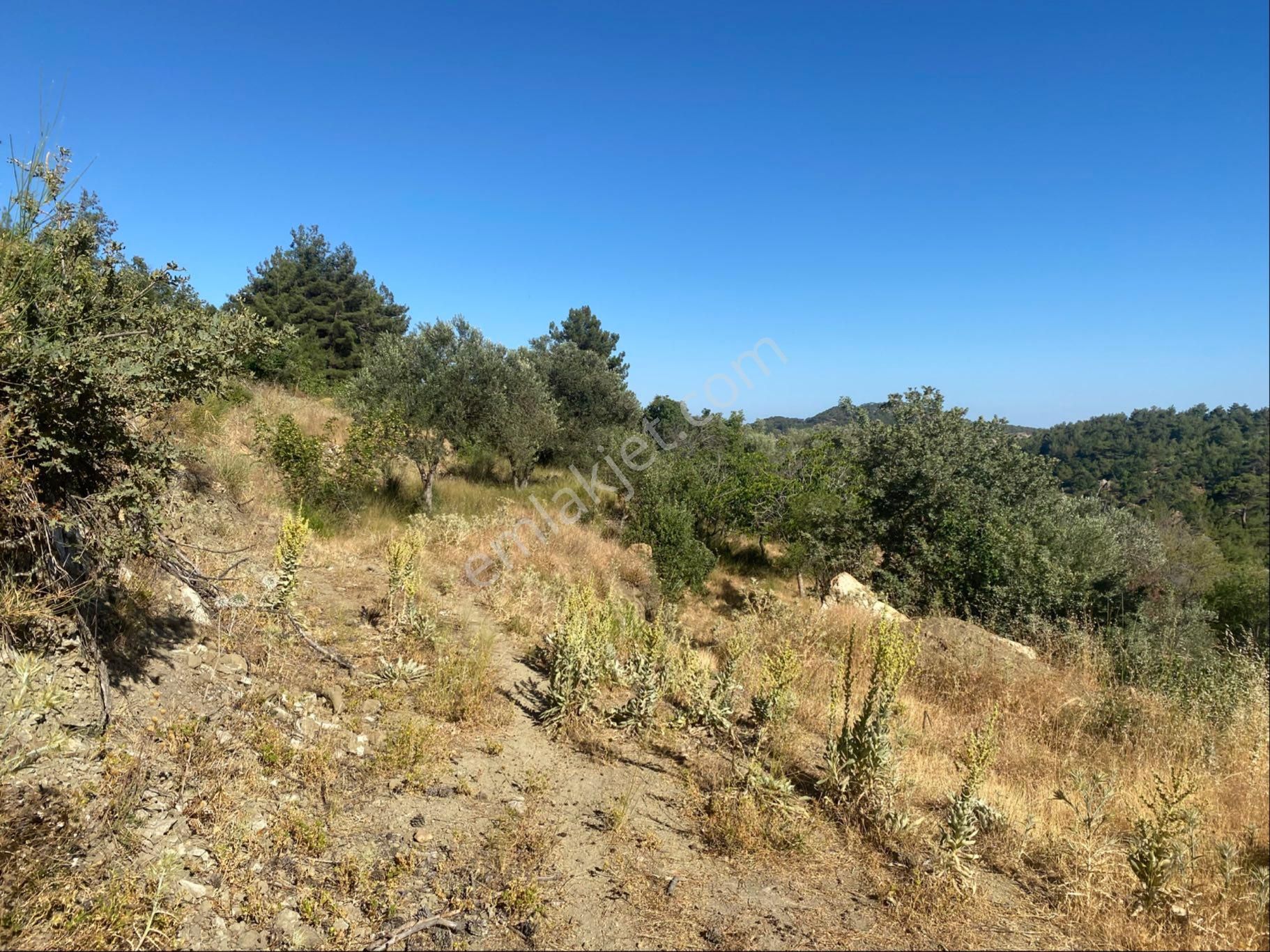 İgo Emlaktan Ahmetçe Köyünde Fırsat Tarla - Görsel 11