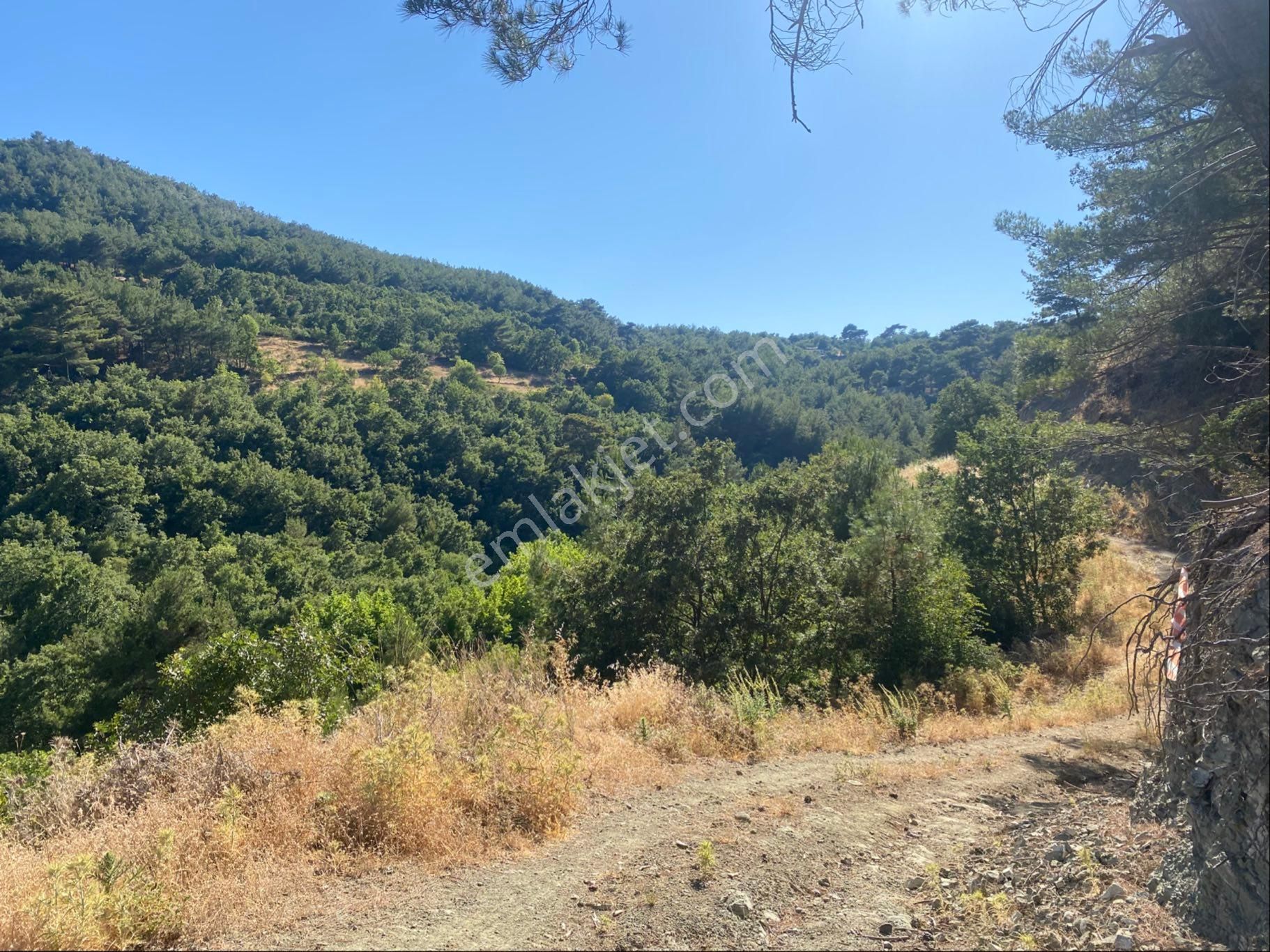 İgo Emlaktan Ahmetçe Köyünde Fırsat Tarla - Görsel 8