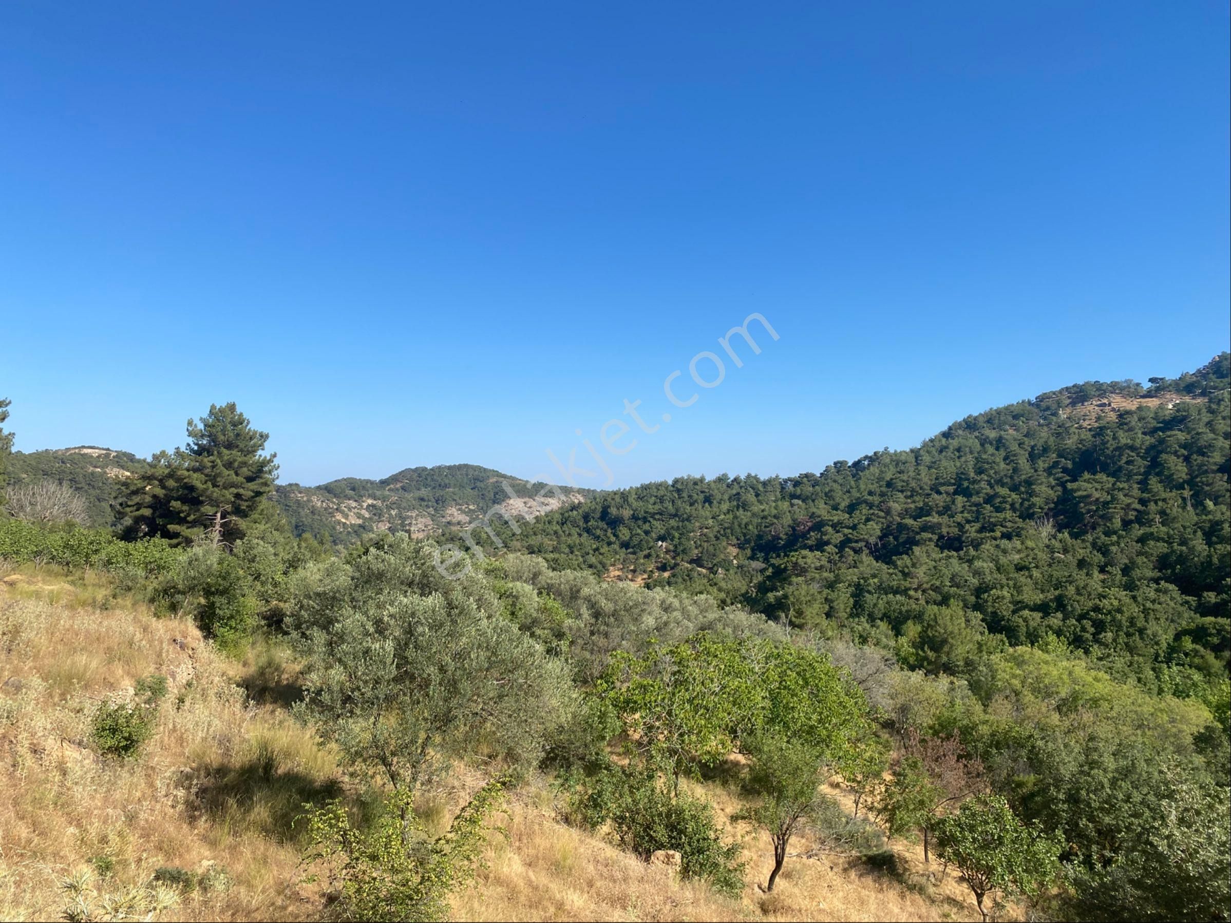 İgo Emlaktan Ahmetçe Köyünde Fırsat Tarla - Görsel 7