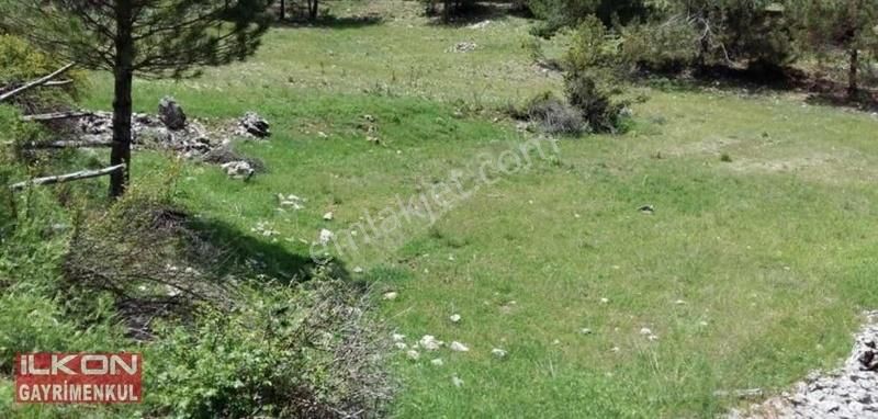 Fethiye Koruköy'de İlkon'dan Satılık 4 Dönüm Fırsat Tarla - Görsel 5