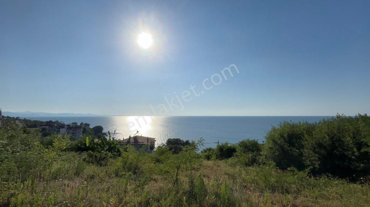 Ordu Perşembe Çaytepede Panoramik Deniz Manzaralı Proje Yapımına Uygun Satılık Arsa