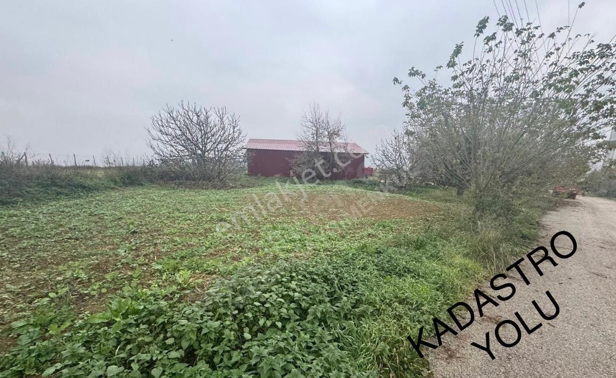 Sahibinden Kandıra Balcı Köyünde Yola 26mt Cepheli Arsa