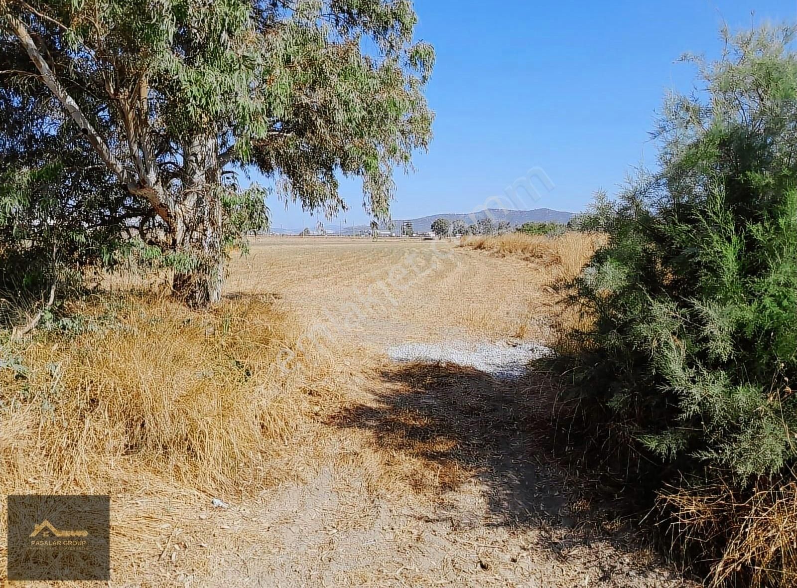 Milas Dörttepede Ana Yola Çok Yakın Yatırımlık 5847 M² Tarla .. - Görsel 6