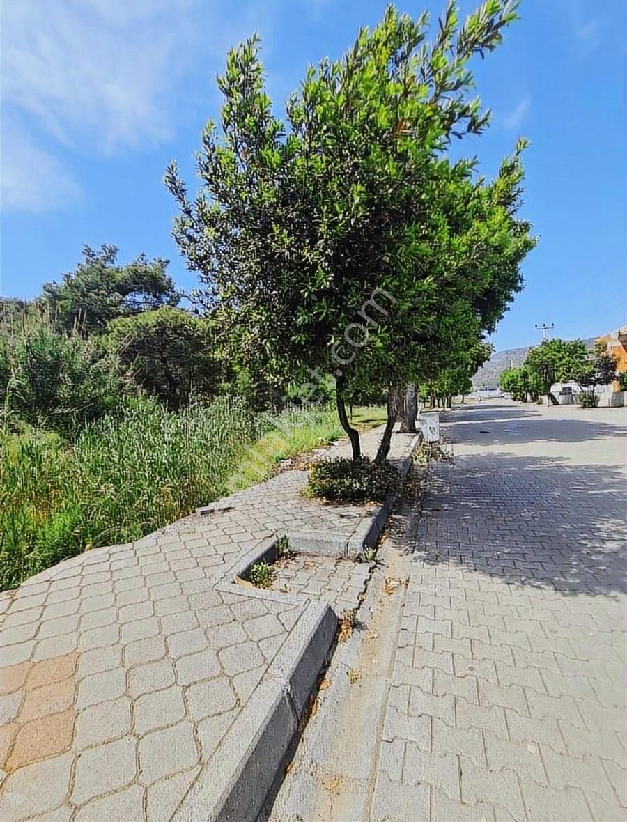 Çiftlik Mh.442 M2 İmarlı Satılık Arsa - Görsel 21