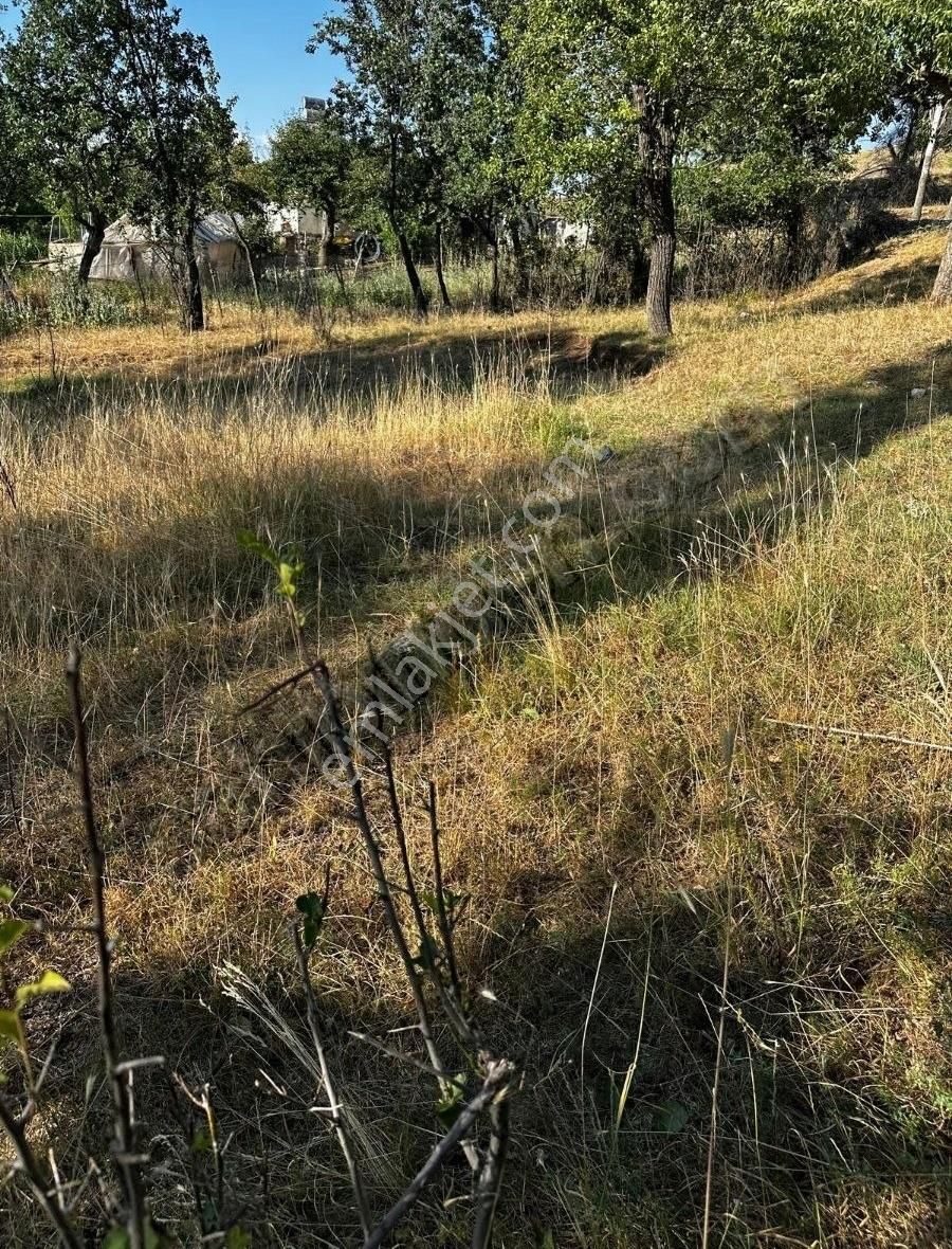 Yayla Doganlar,da 910 M2 İmarlı Arsa - Görsel 16
