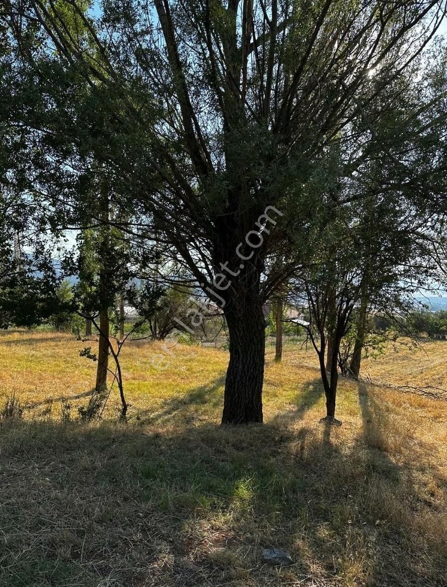 Yayla Doganlar,da 910 M2 İmarlı Arsa - Görsel 21
