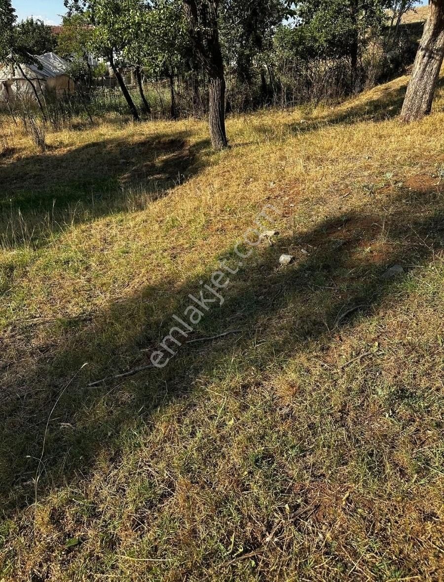 Yayla Doganlar,da 910 M2 İmarlı Arsa - Görsel 30
