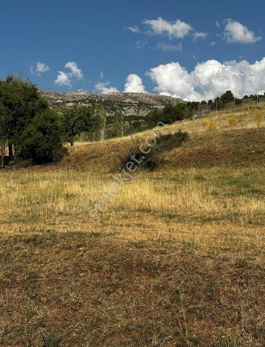 Yayla Doganlar,da 910 M2 İmarlı Arsa - Görsel 5