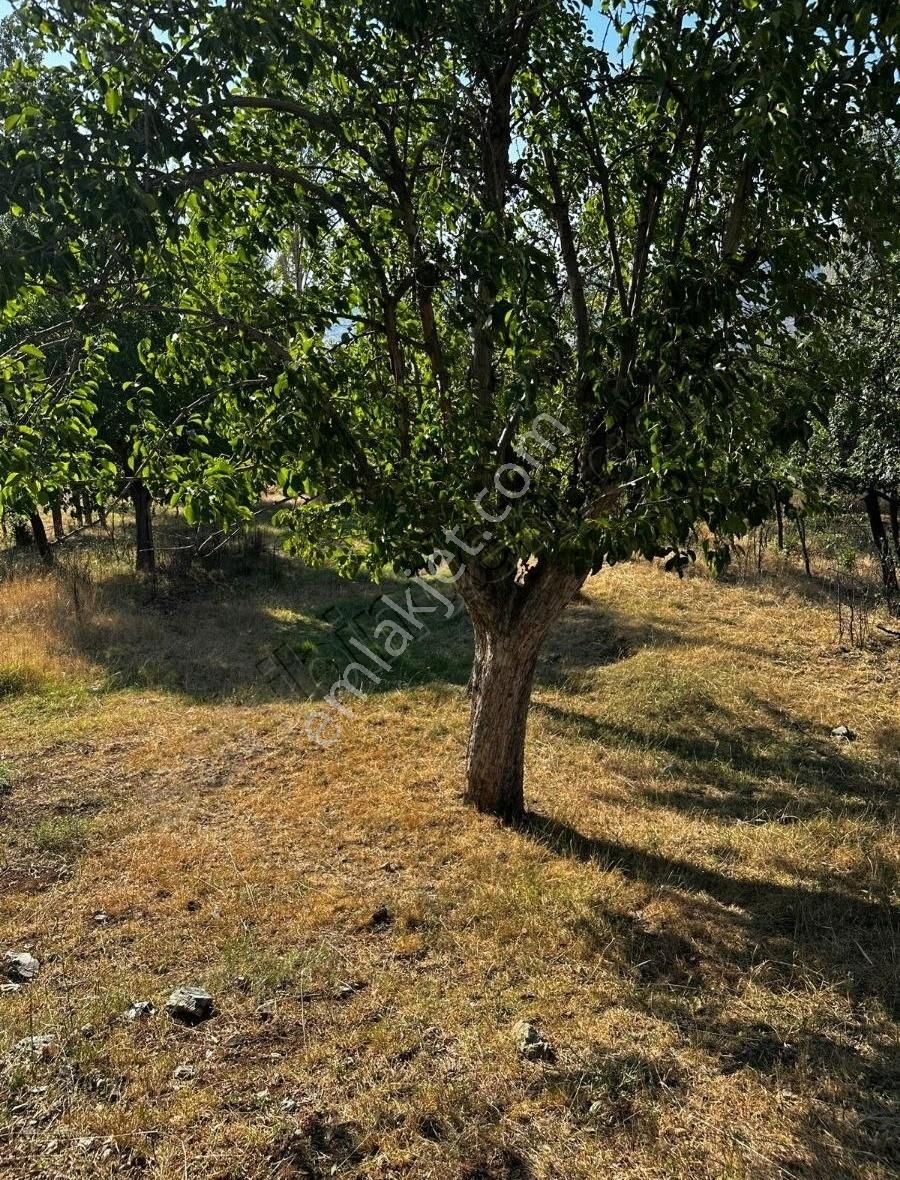 Yayla Doganlar,da 910 M2 İmarlı Arsa - Görsel 29