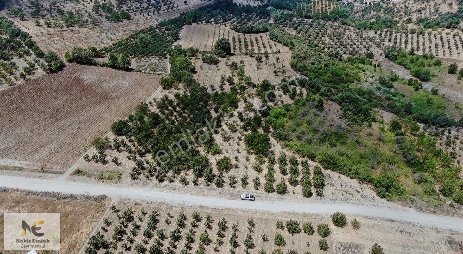 İnegöl'e 7 Km 2280m2 Tek Tapu Meyve Bahçesi Uygun Fiyatlı Nokta