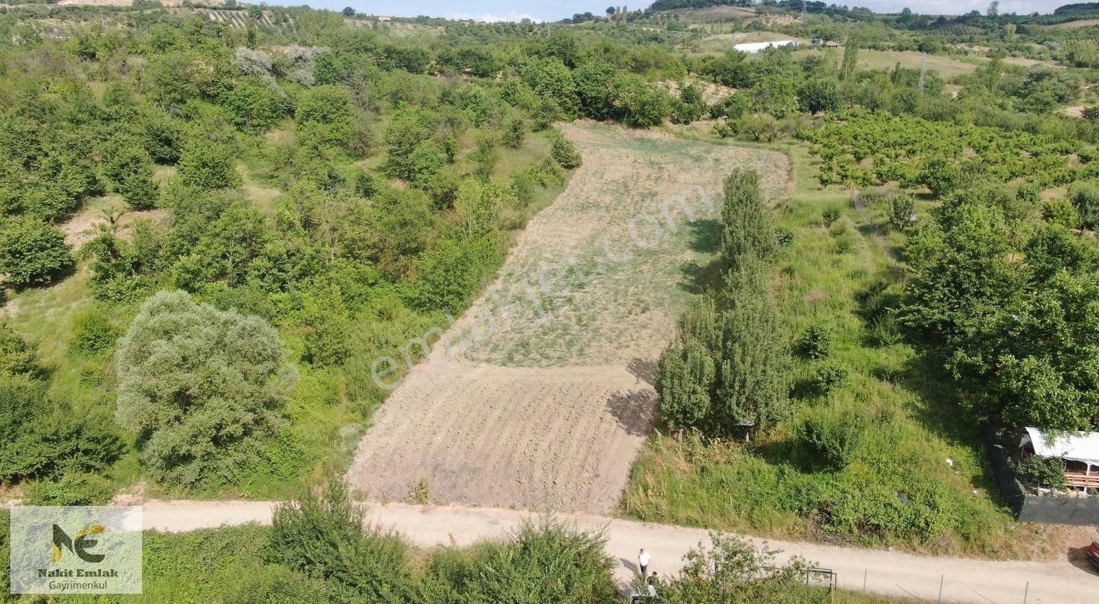 Doğanyurdun'da 3672m2 Tek Tapu Yatırım Fırsatı İnegöl'e 7km