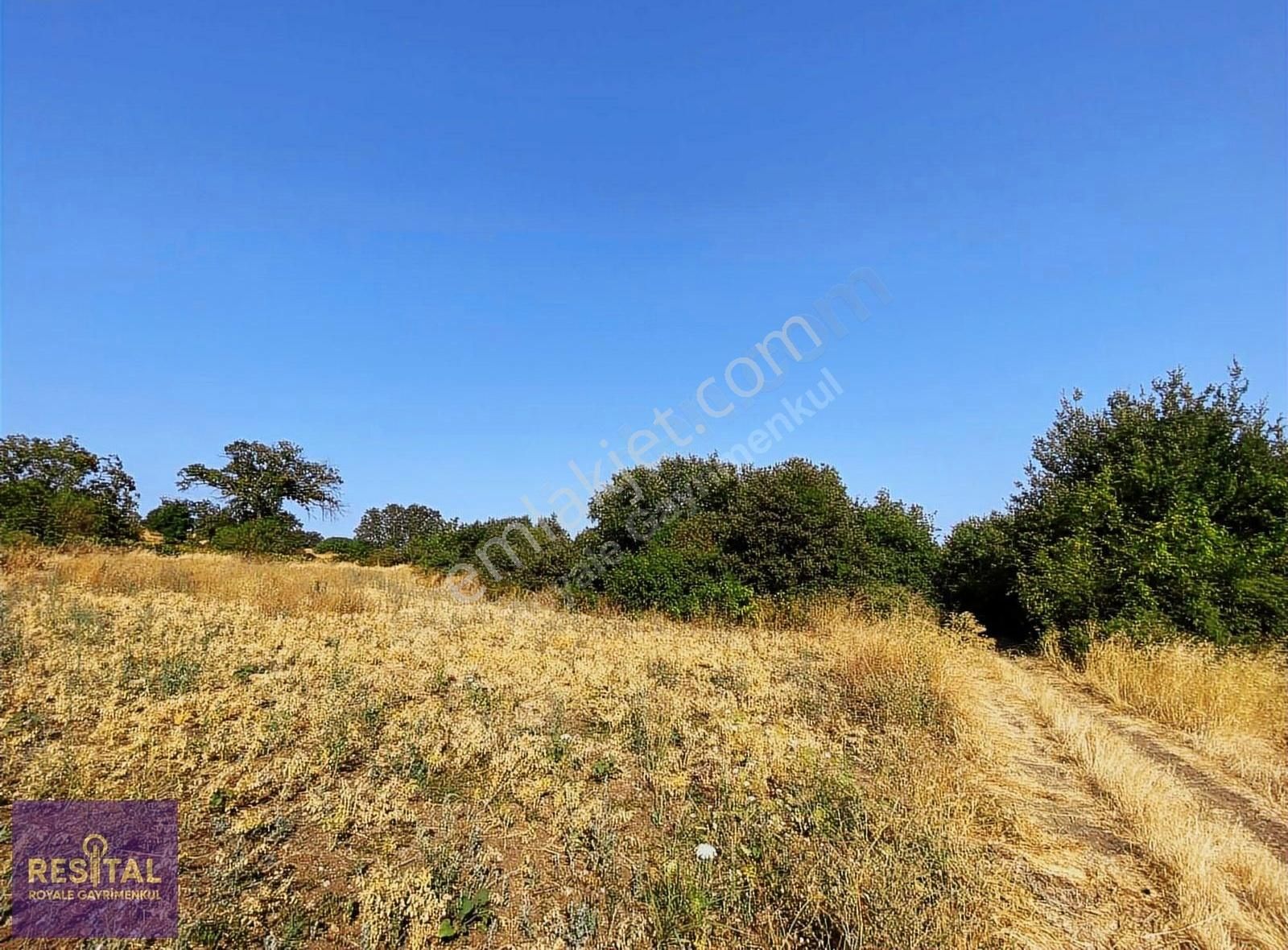 Nilüfer Yolçatıda 1850 M² Tarla