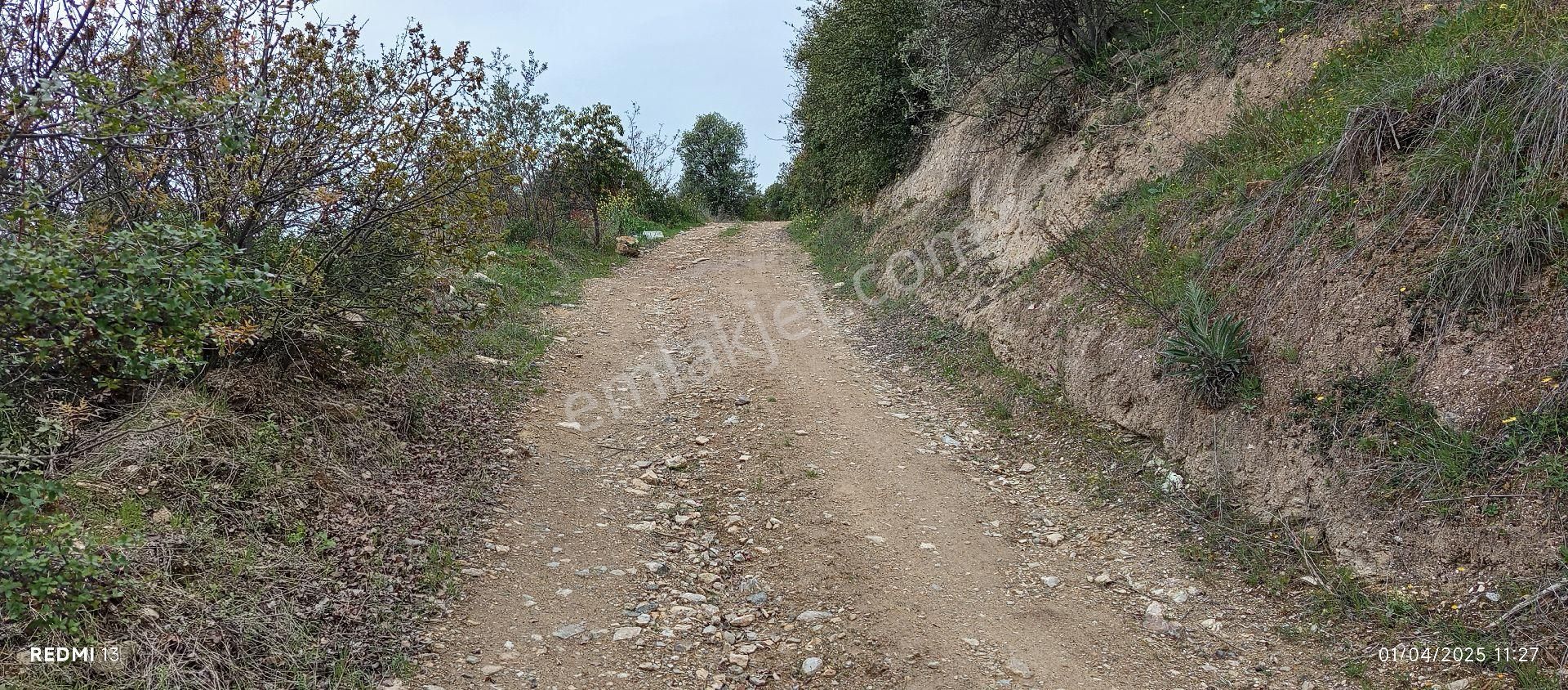 Göl Ayağınızın Altında - Görsel 4