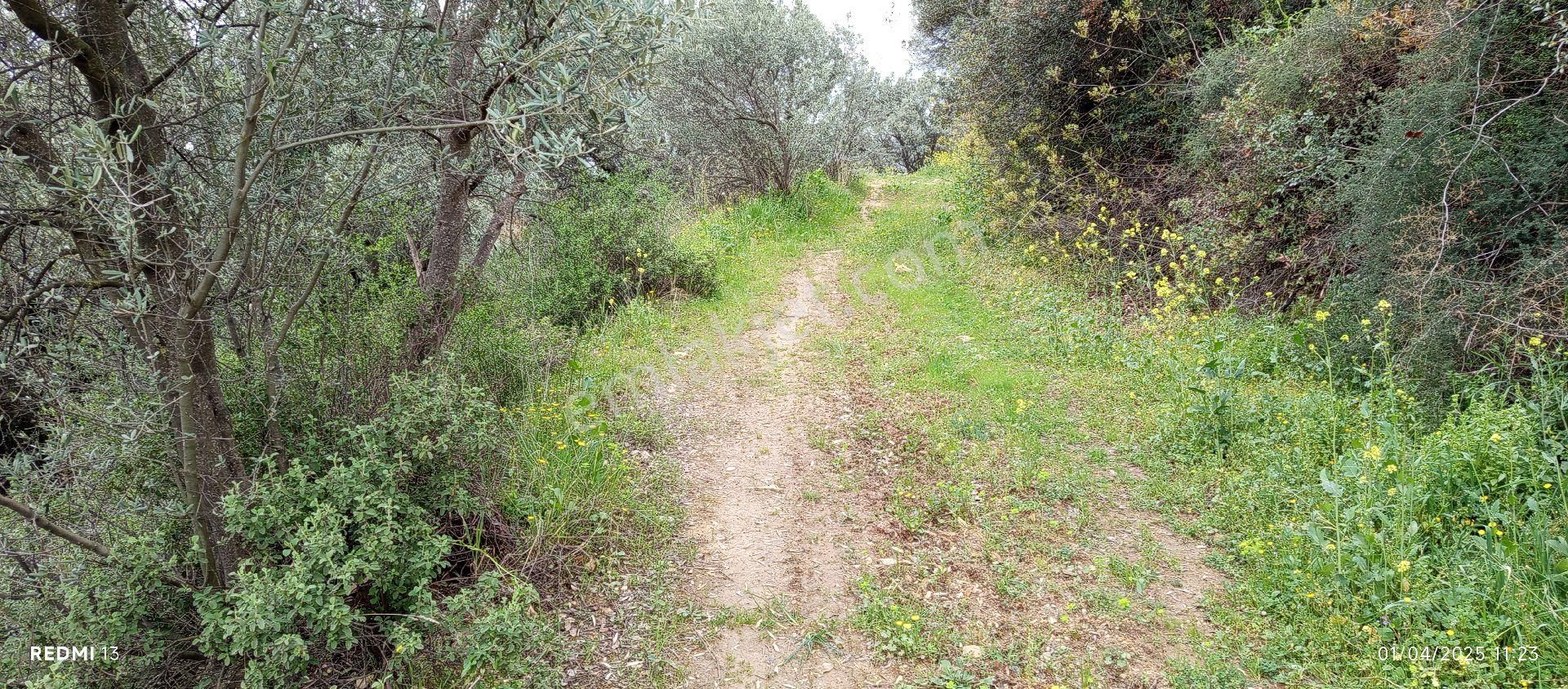 Göl Ayağınızın Altında - Görsel 16