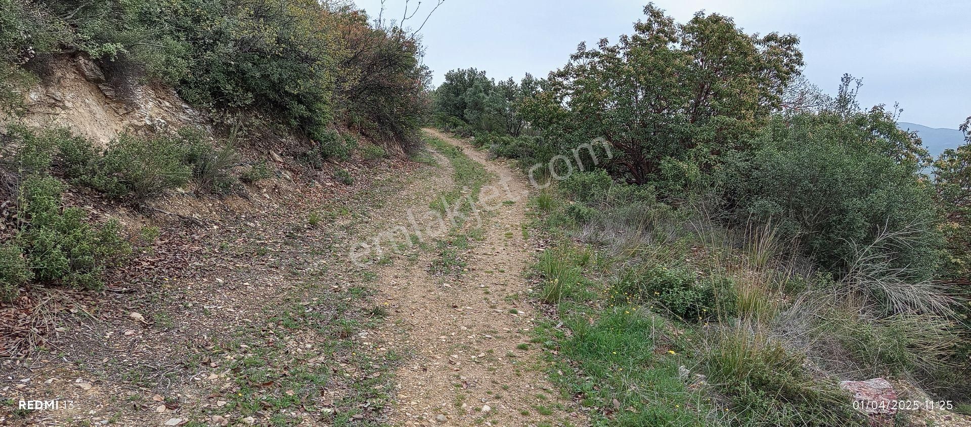 Göl Ayağınızın Altında - Görsel 10