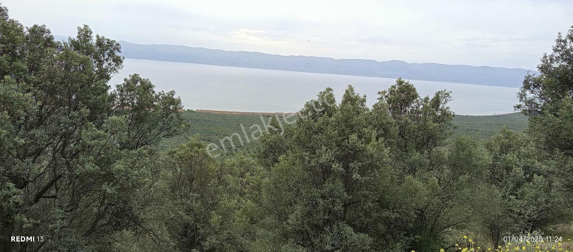 Göl Ayağınızın Altında - Görsel 15