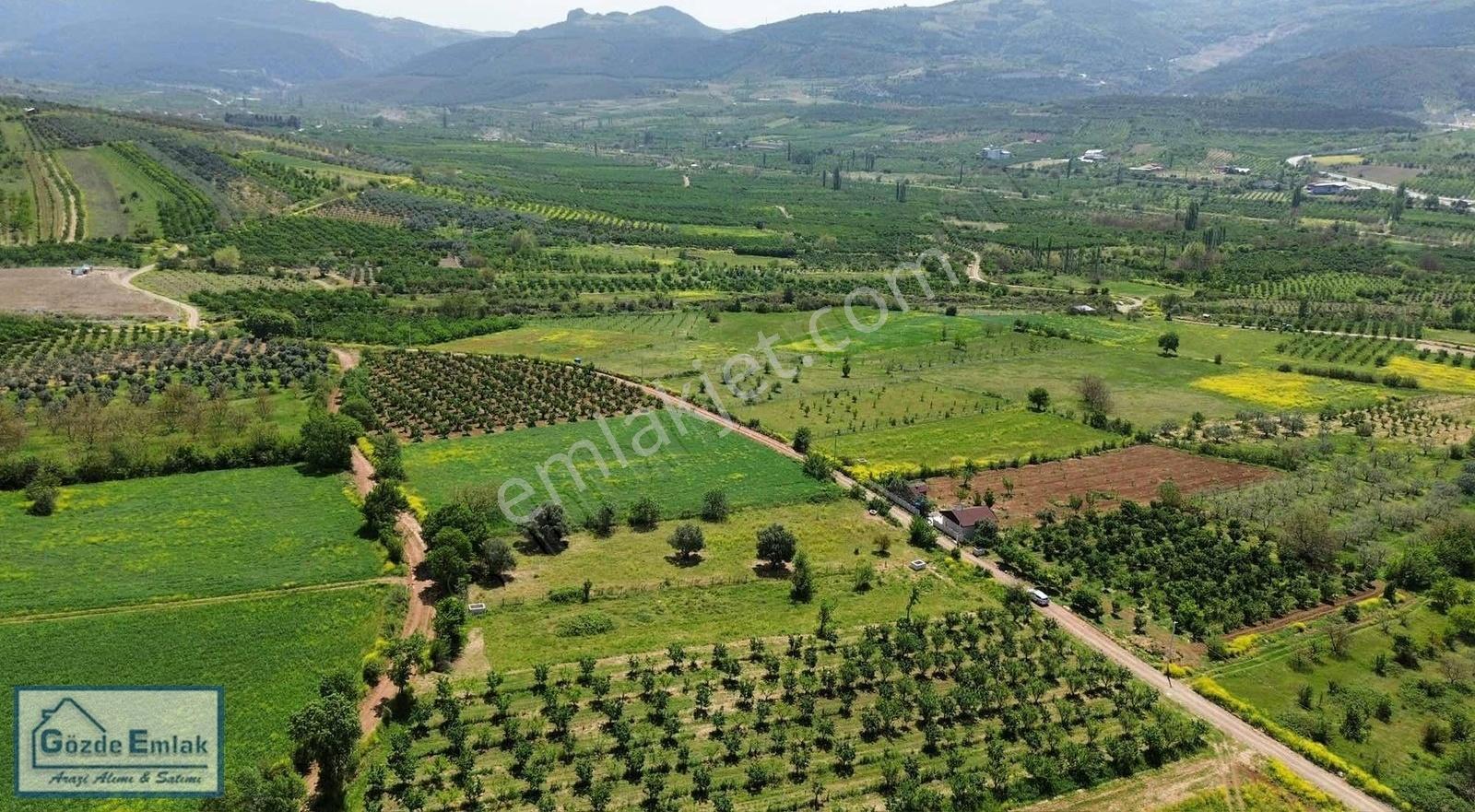 Gözde Emlak Eşme Mahallesi Resmi Yola Cephe Elektrik Su Mevcut - Görsel 7