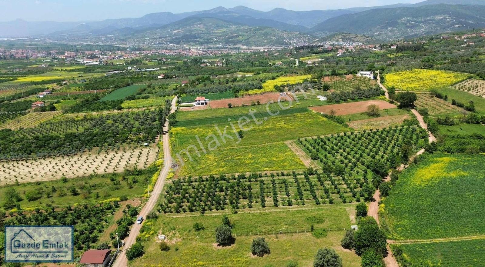 Gözde Emlak Eşme Mahallesi Resmi Yola Cephe Elektrik Su Mevcut - Görsel 27