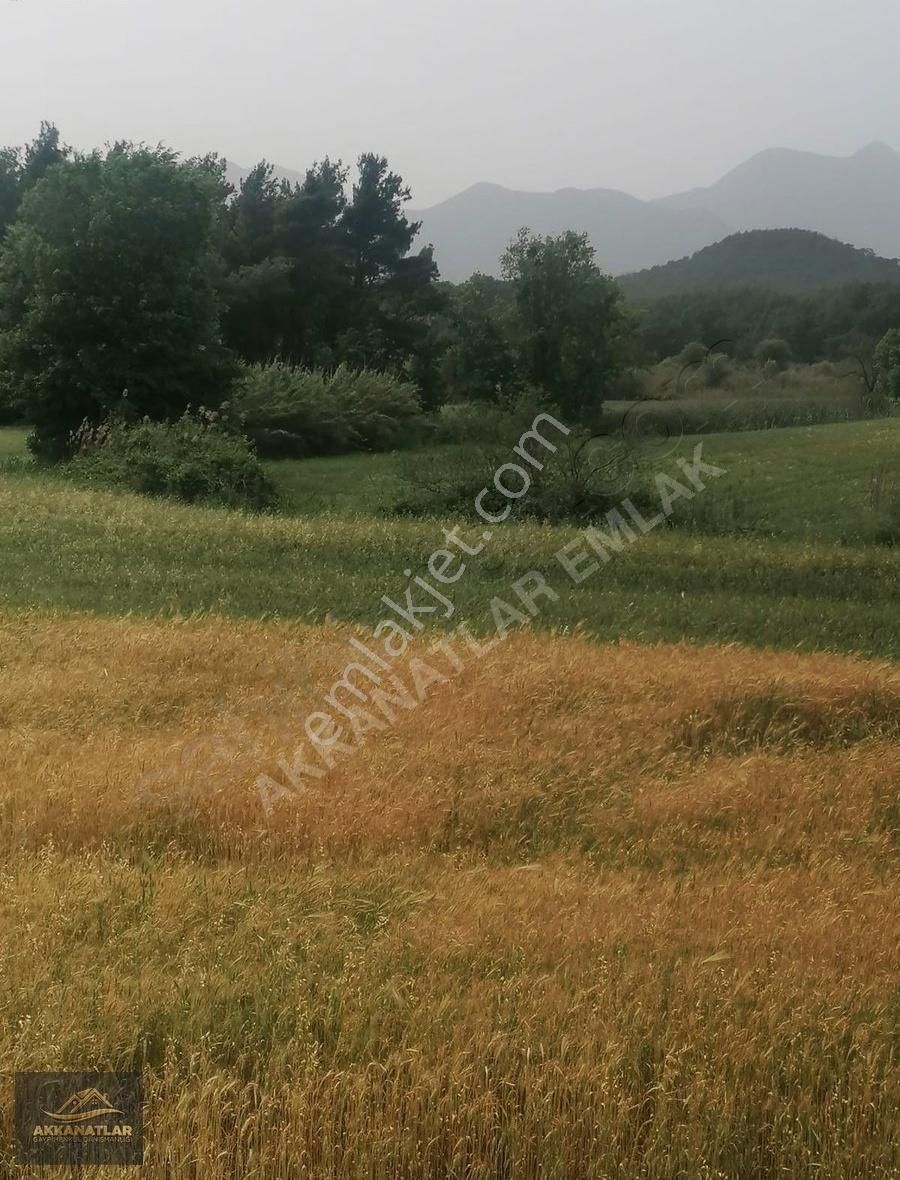 Muğla Seydikemer Korubükünde 9.200m2 Satılıktarla Açıklamayı Oku