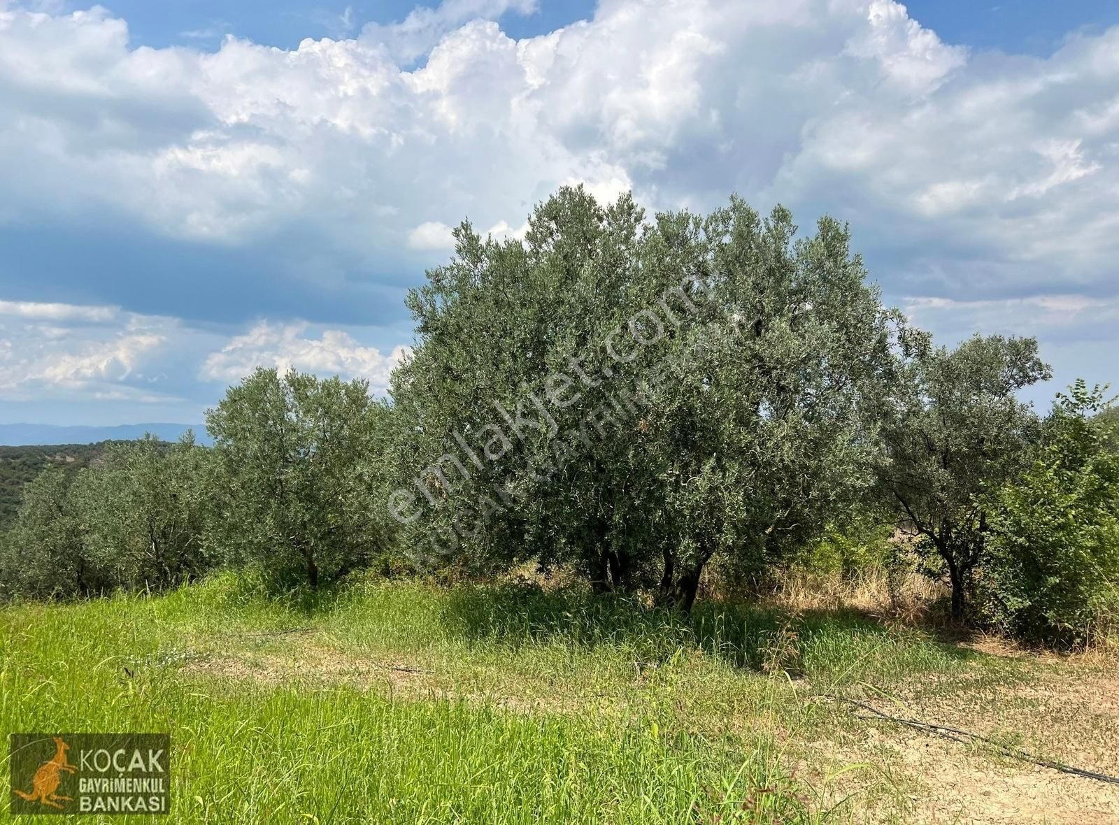 Derbent Köyünde Göl Manzaralı Suyu Yolu Olan 2012 M2 Bahçe - Görsel 19