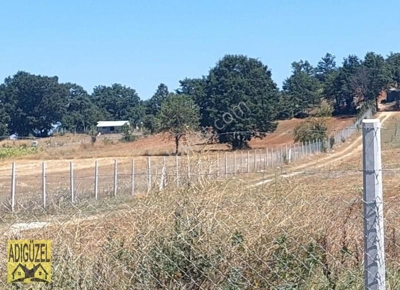 Bilecik Pazaryeri Çarşı Mah. De Yatırımlık Tarla
