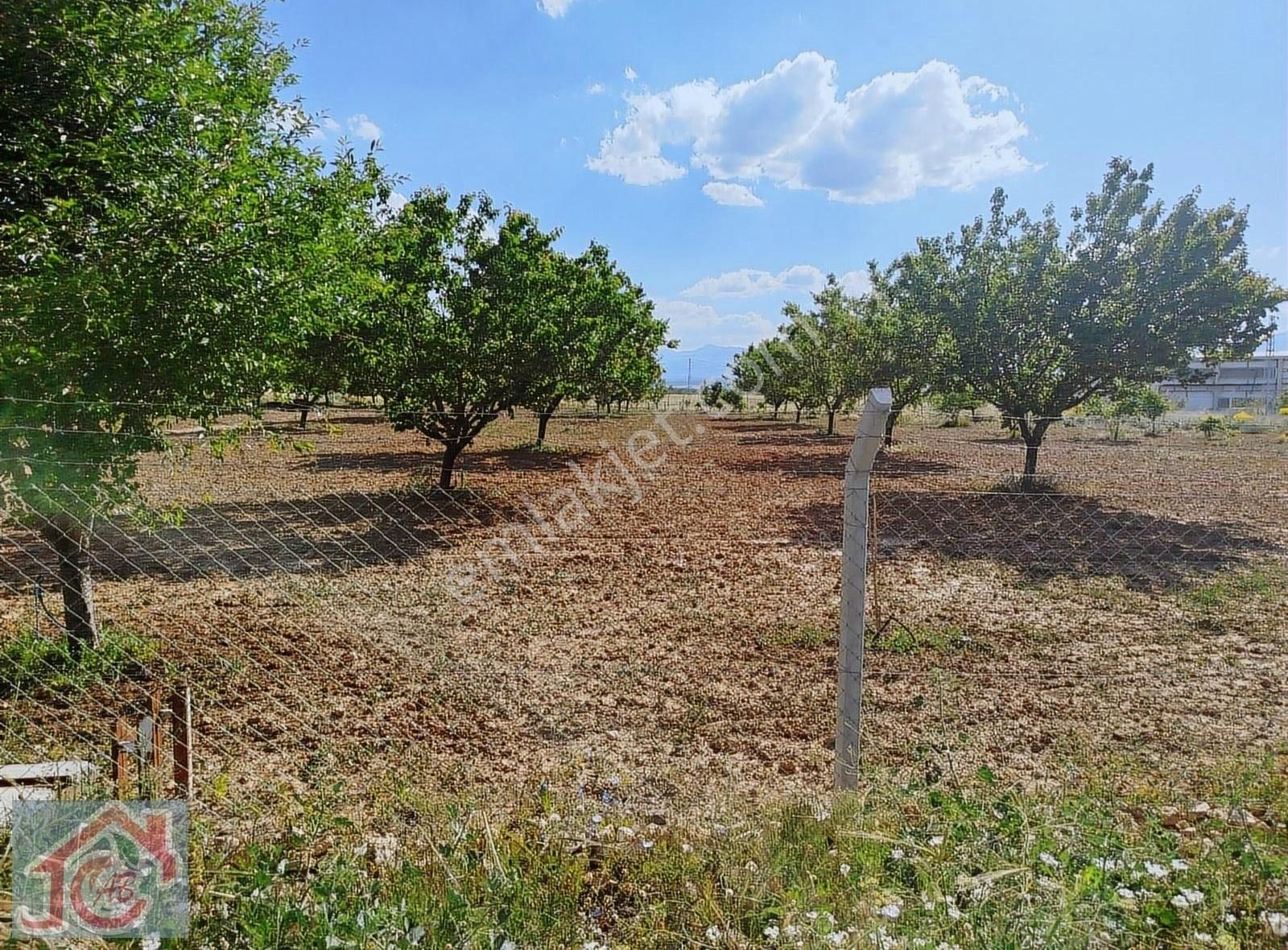 Karapına'da Satılık 7.5 Dönüm Bahçe
