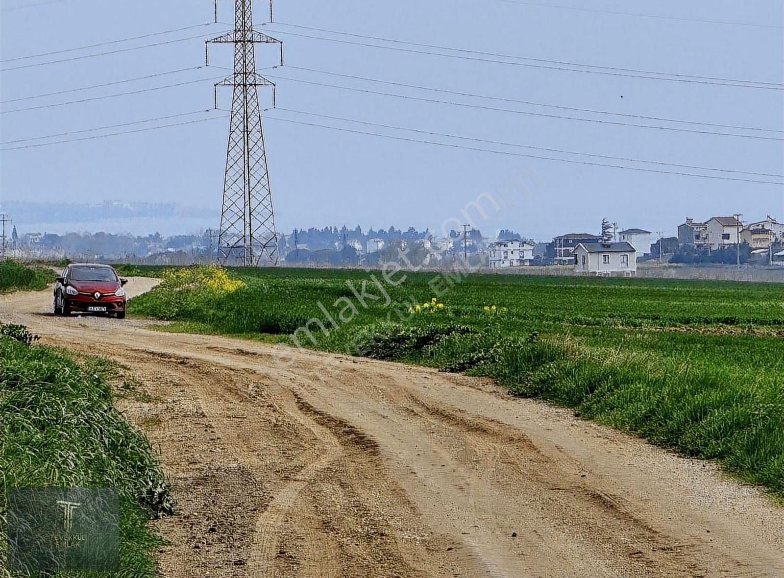 Marmara E. Denize 450 M Mesafede İmar Pilanında Acil Hemen Tapu - Görsel 14