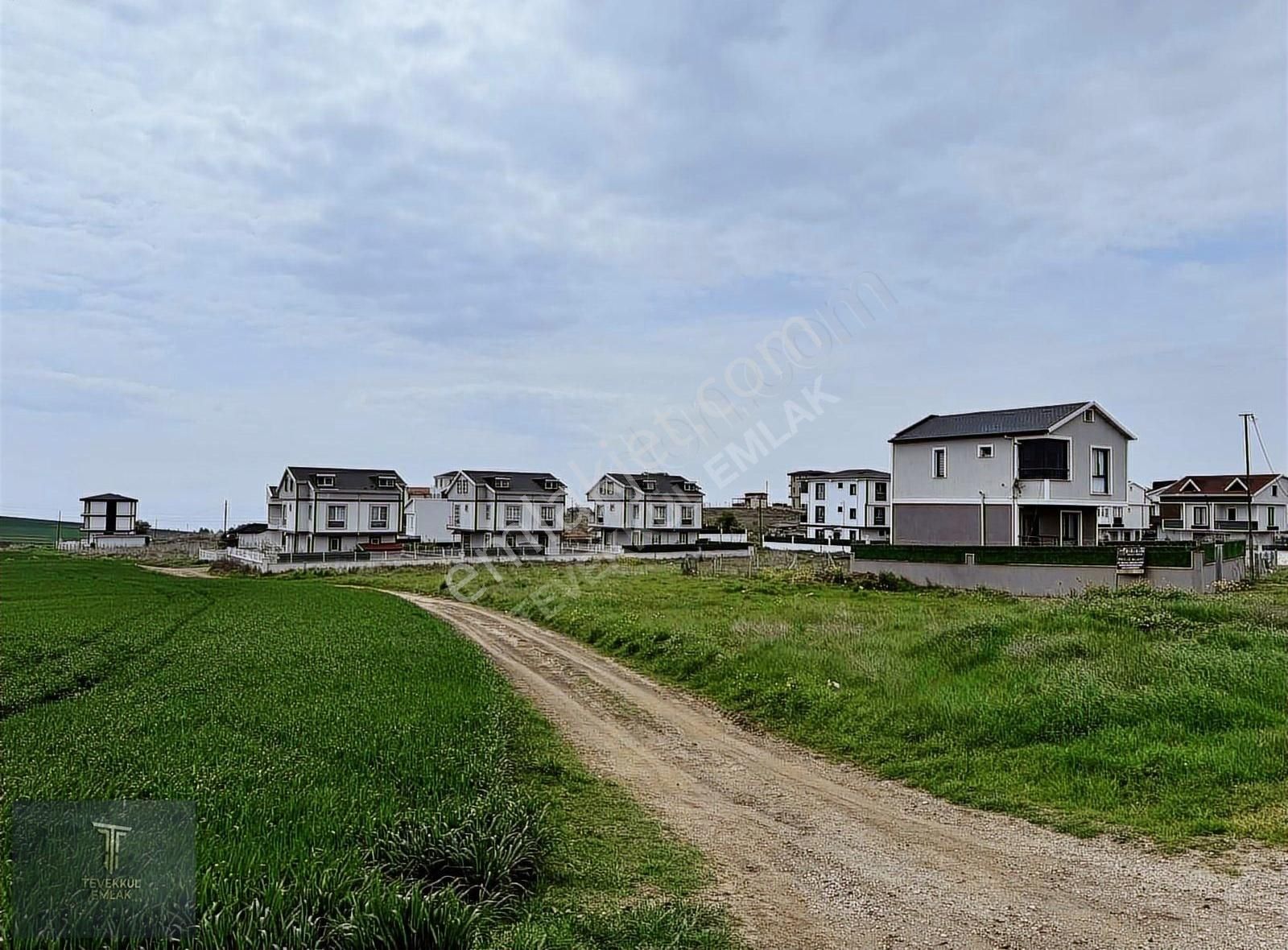 Marmara E. Denize 450 M Mesafede İmar Pilanında Acil Hemen Tapu - Görsel 2