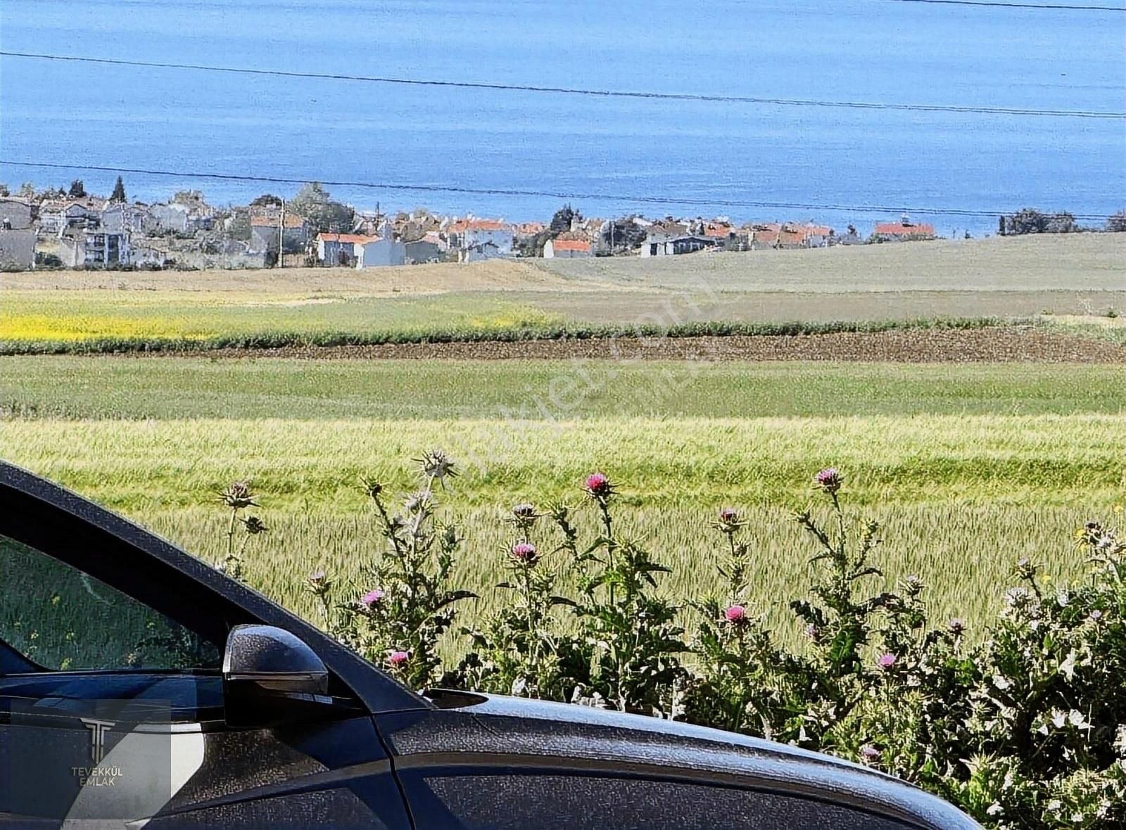 Marmara E. Denize 450 M Mesafede İmar Pilanında Acil Hemen Tapu