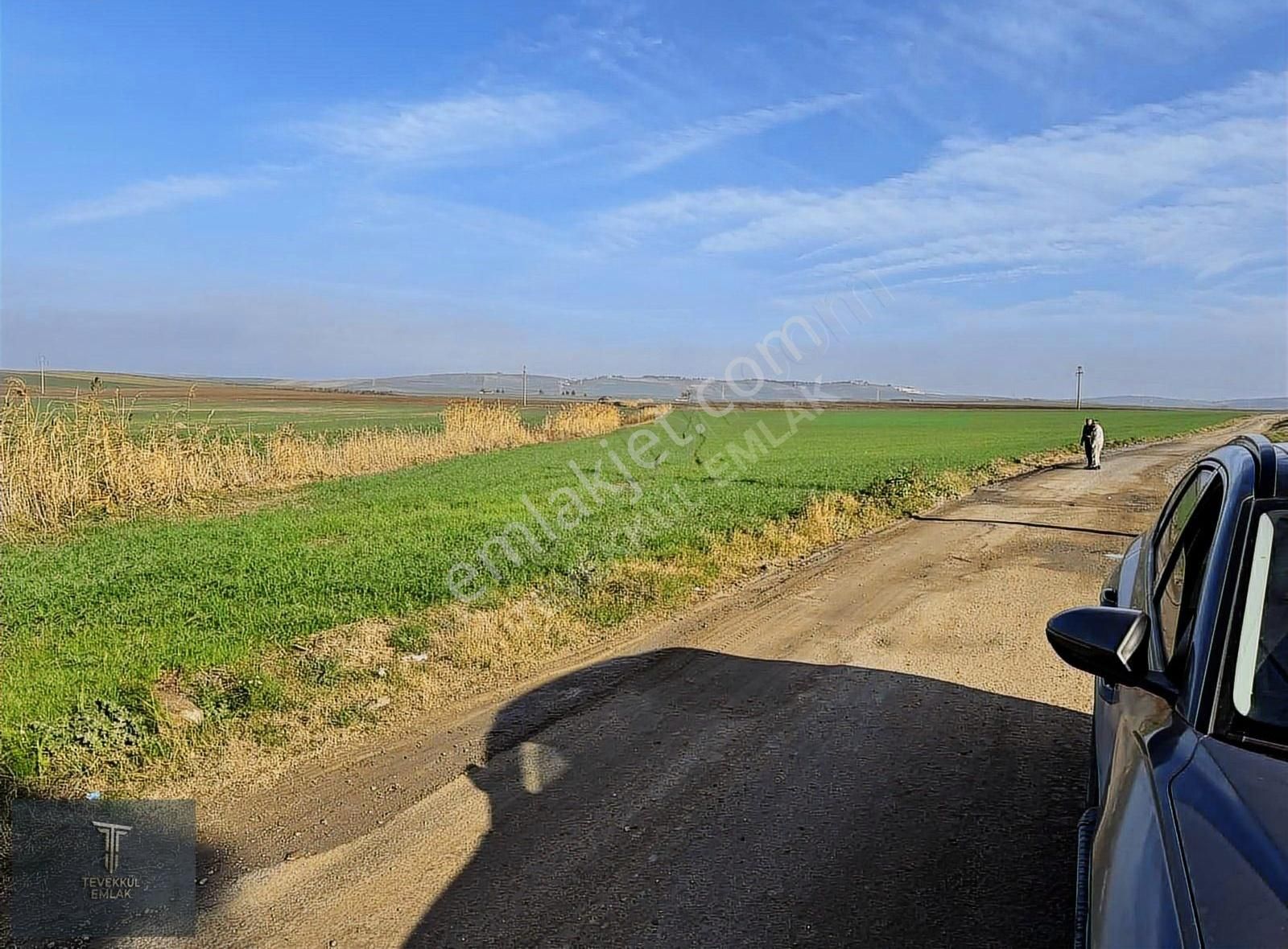 Marmaraereğlısi Çeşmeli De Kelepir İmarlı Arsa Hemen Tapu - Görsel 20