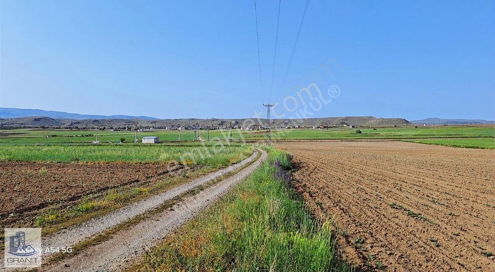 Kayseri Develide Koye 1.4 Km Tek Tapu 26 Bin M2 Tarla