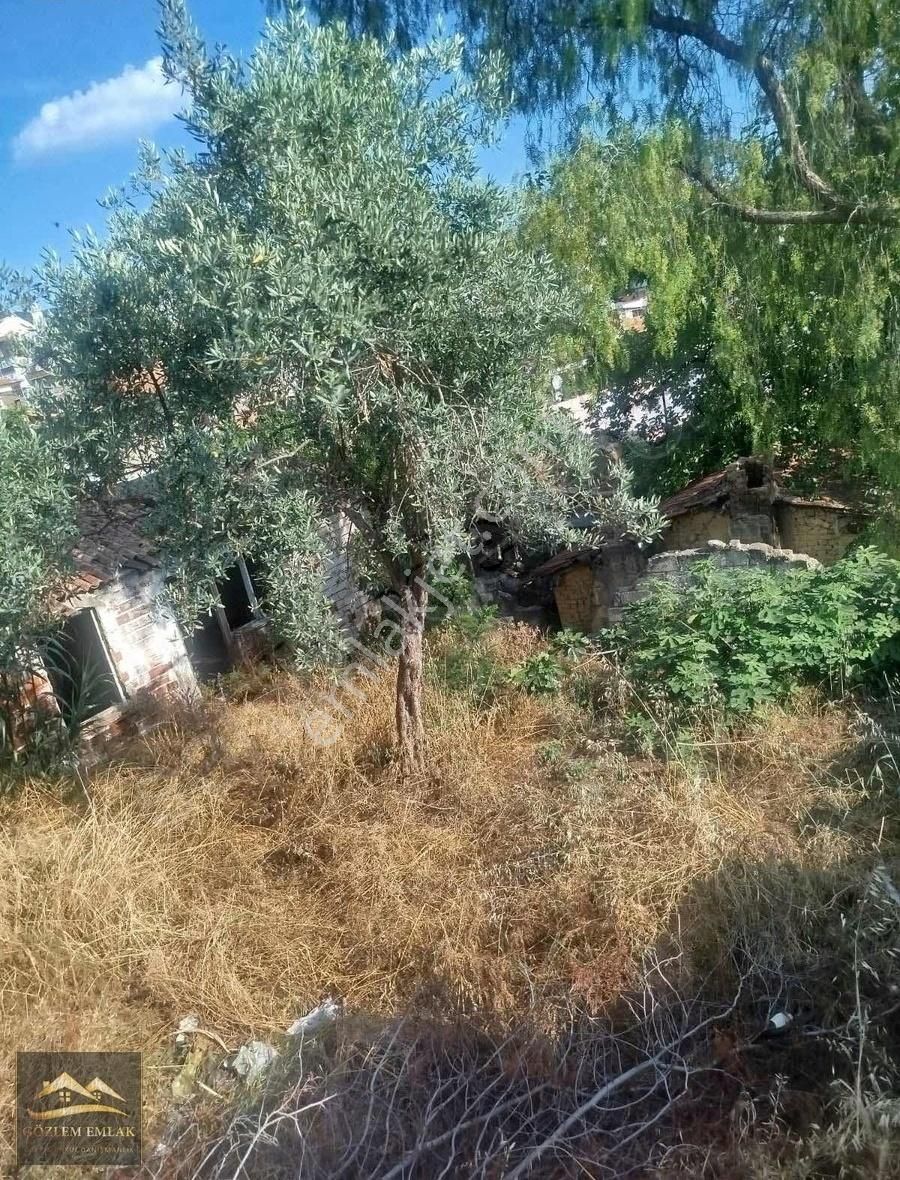 İzmir Selçuk Merkez İmarlı Yatırımlık Acil Satılık Süper Arsa - Görsel 7