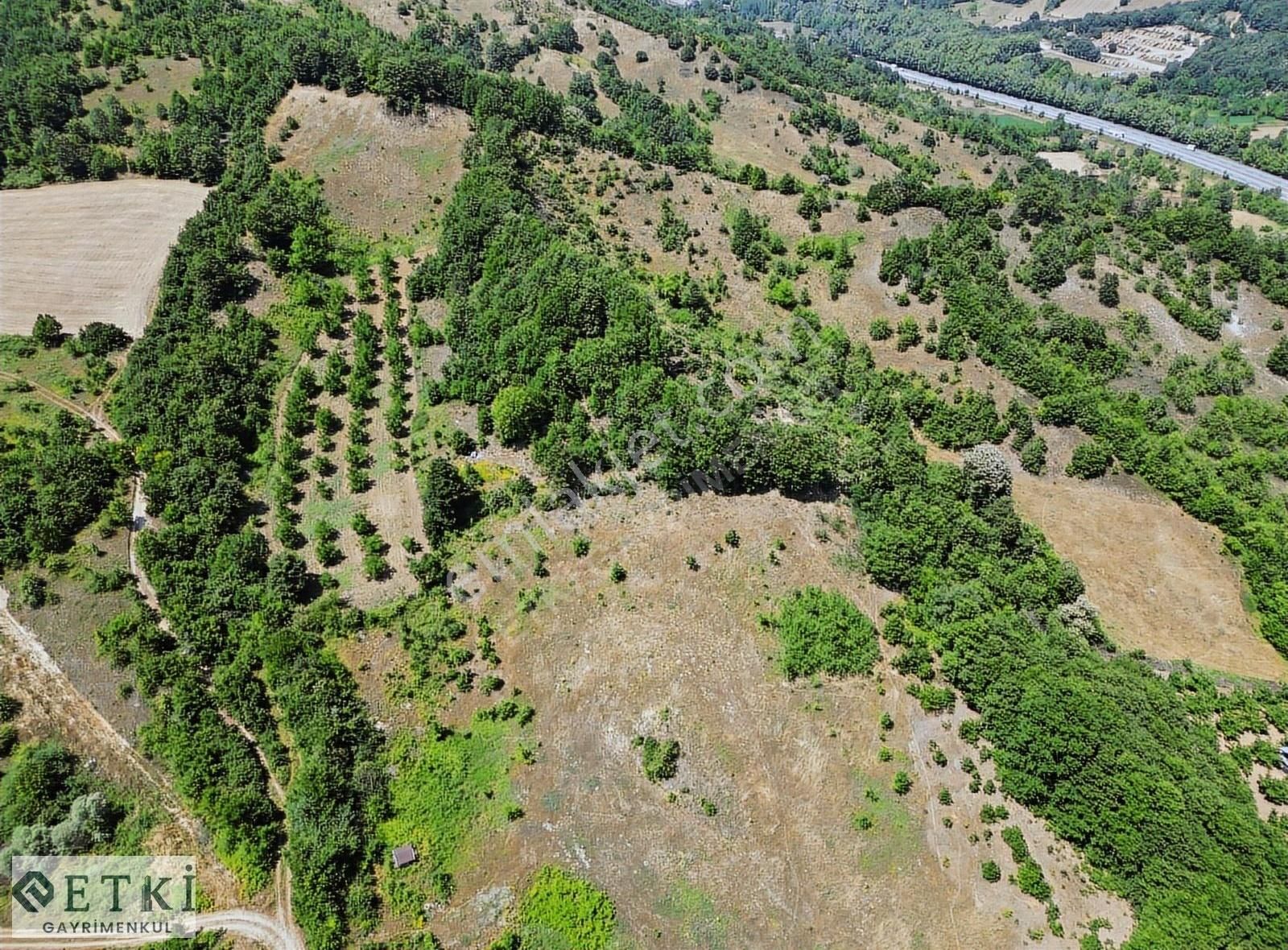 Etki'den İnegöl Yeniköy'de Çiftlik Olabilecek Geniş Arazi - Görsel 3