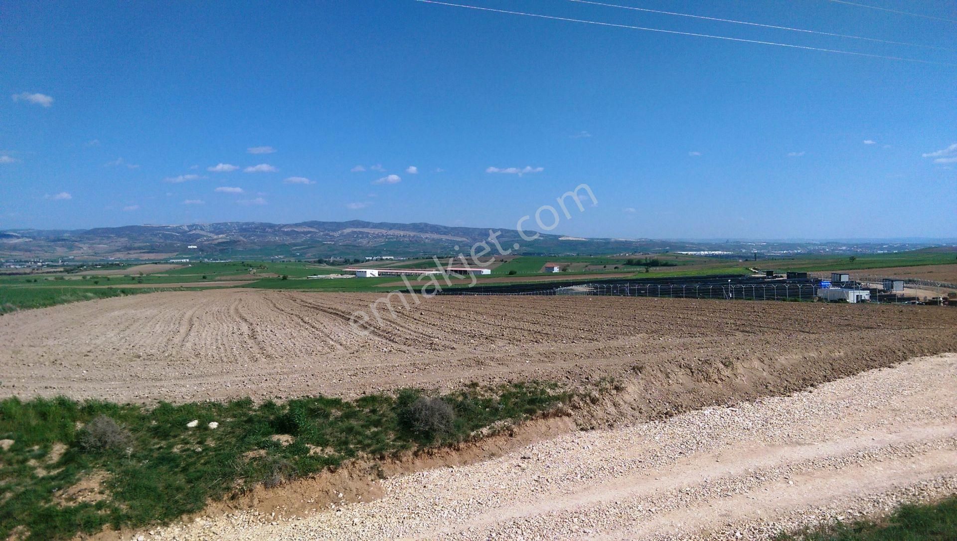 Petek Emlak'tan Karalar'da 16.069m2 Güneş Enerjisi, Ahır İzni Çıkan,yatırımlık, Kelepir, Kupon