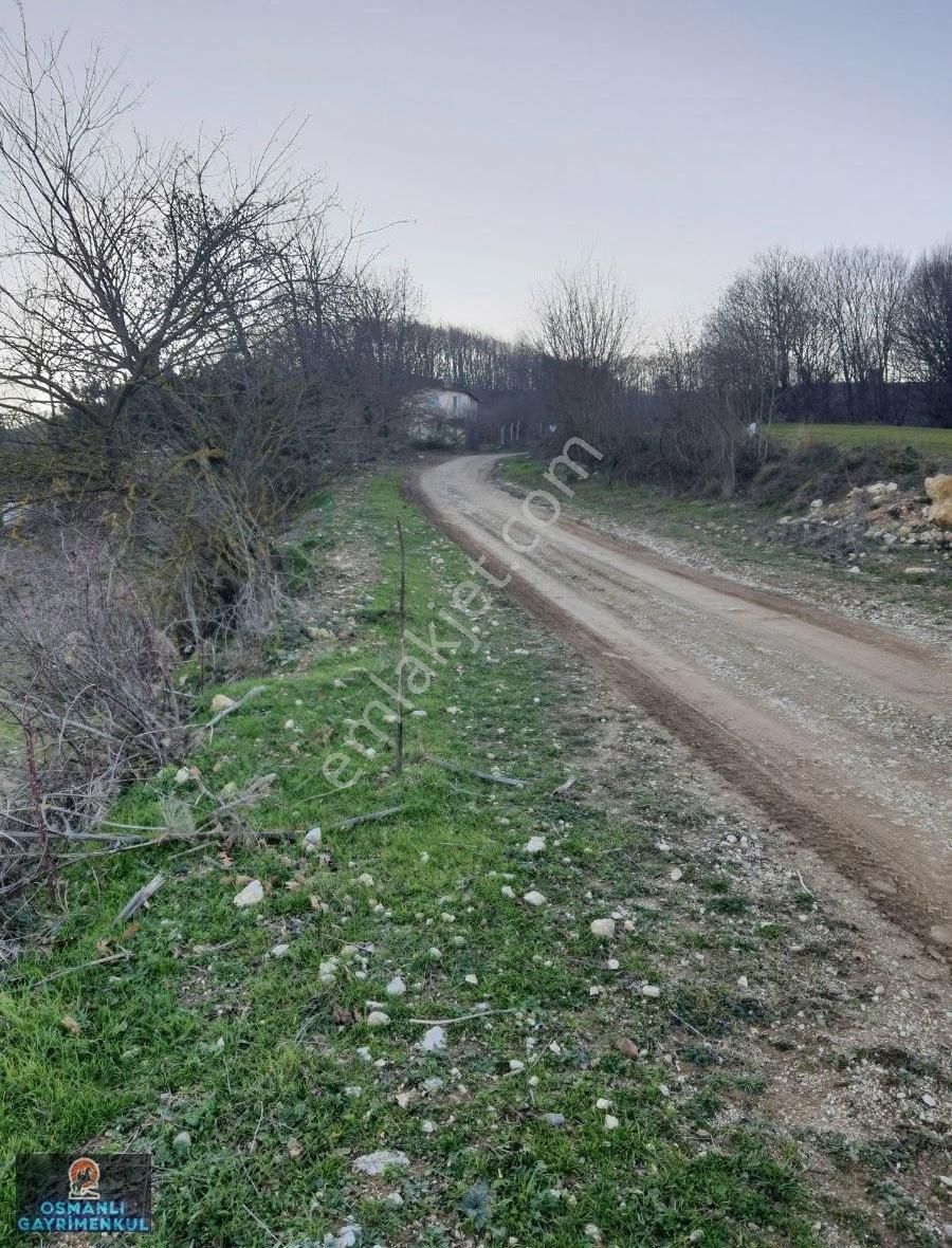 Yol Su Dogalgaz Alt Yapısı Hazır Satılık Hesaplı Arazi - Görsel 2