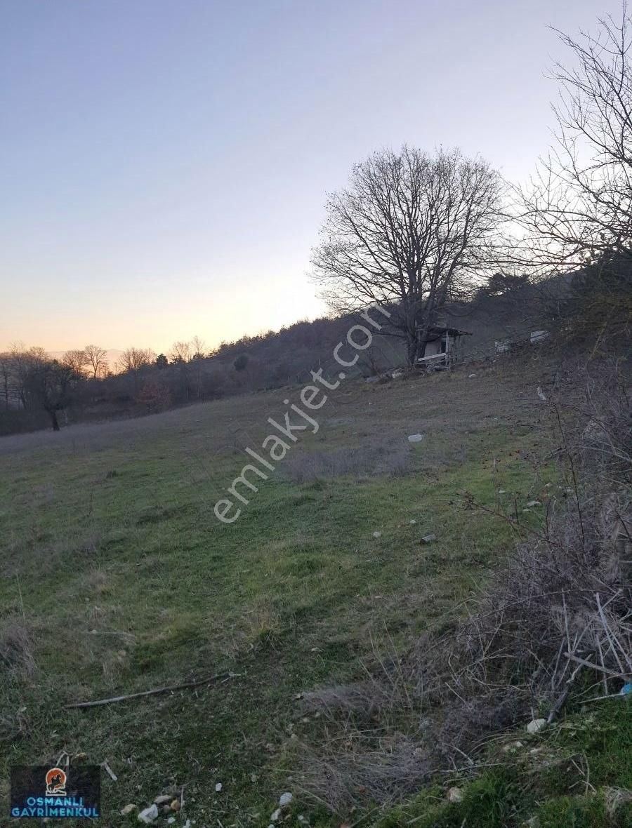 Yol Su Dogalgaz Alt Yapısı Hazır Satılık Hesaplı Arazi - Görsel 17