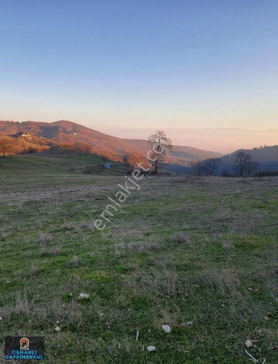 Yol Su Dogalgaz Alt Yapısı Hazır Satılık Hesaplı Arazi - Görsel 6