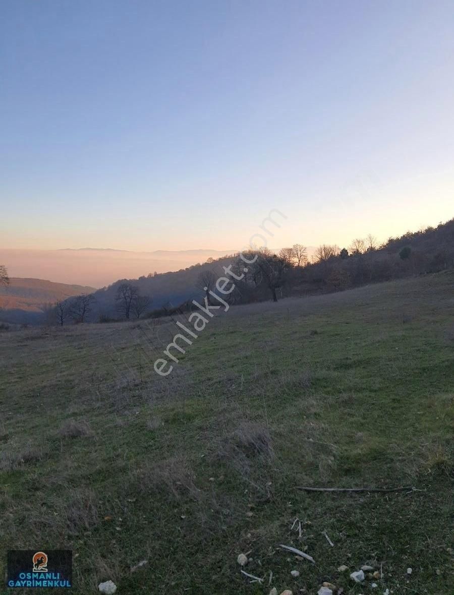 Yol Su Dogalgaz Alt Yapısı Hazır Satılık Hesaplı Arazi - Görsel 15