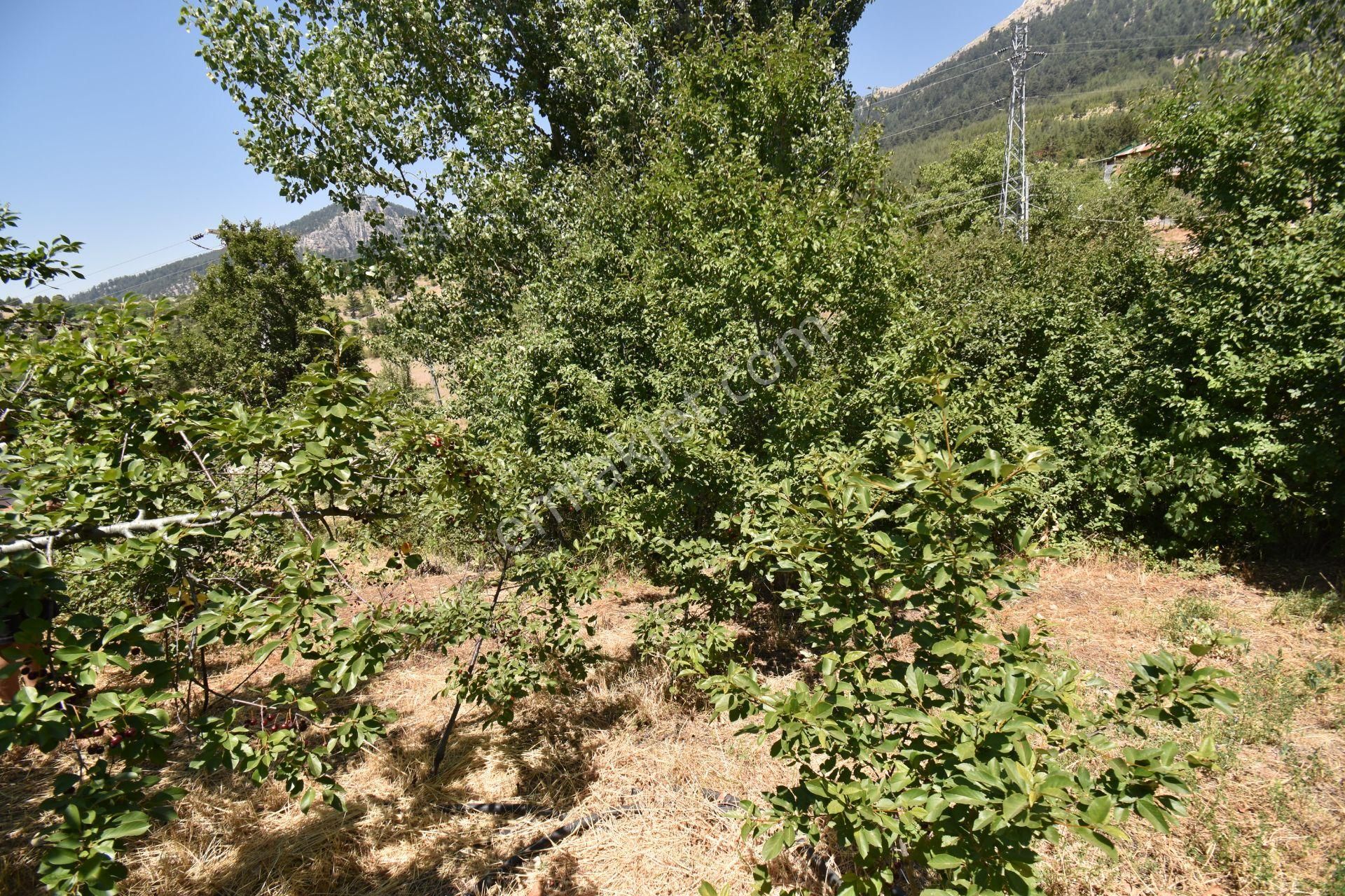 Tırtar Da İçerisinde Prefabrik Ev Bulunan Satılık Arsa - Görsel 21