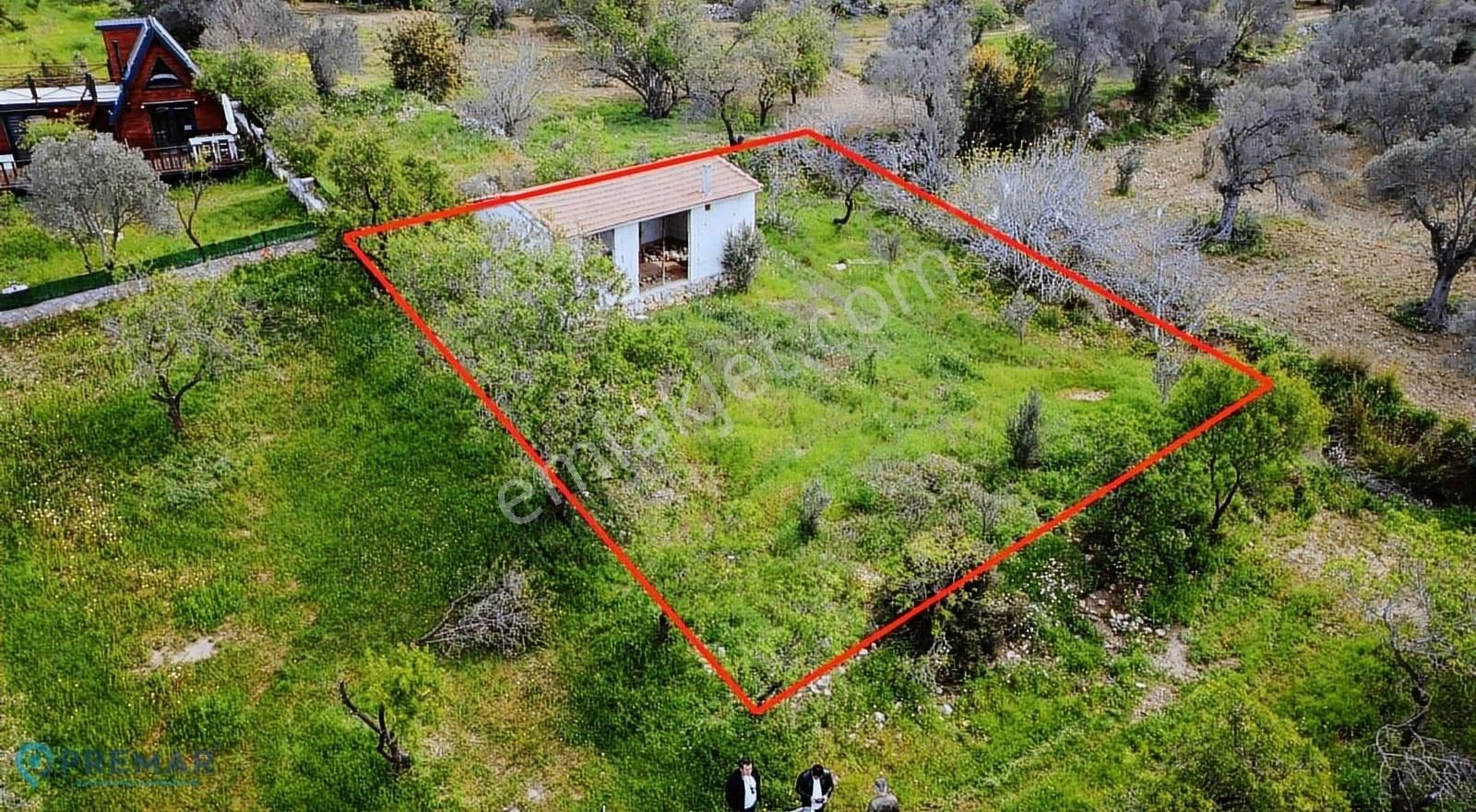 Premar Datça Yazı Mahallesi 590m2 Yolu Olan Yatırımlık Bademlik