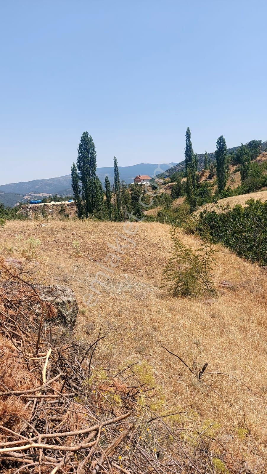Satılık Tarla