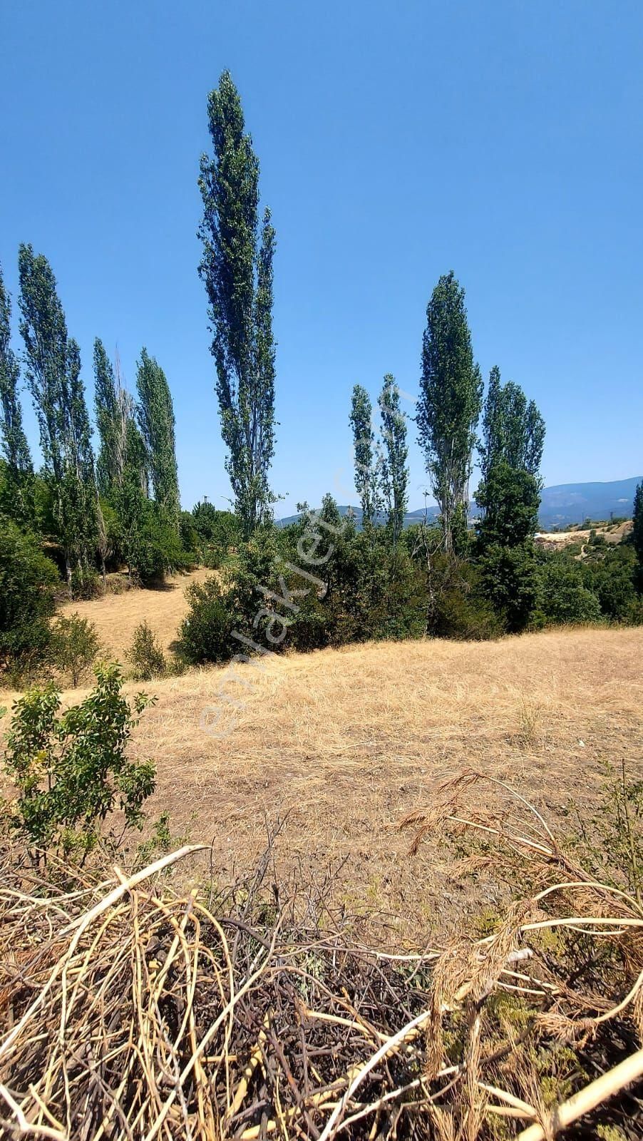 Satılık Tarla