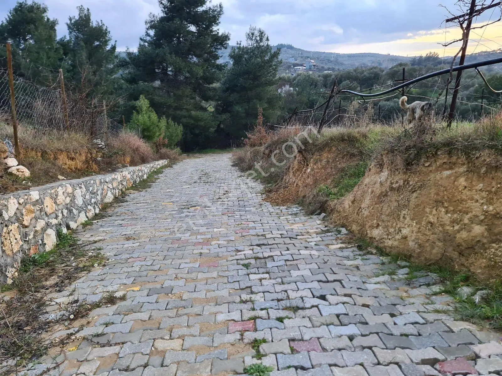 Bal Gayrimenkul - Torbalı Çakırbeyli'de 1000 M2 Hisseli Tarla - Görsel 7