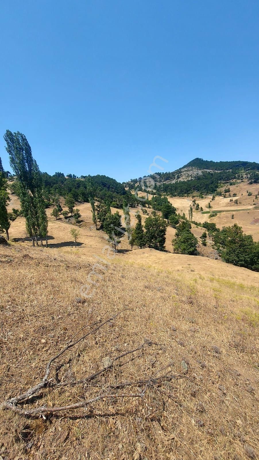 Satılık Tarla