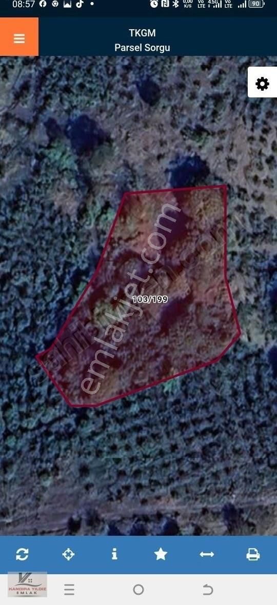 Kandıra Sarıahmetlerde Yola 1 Parsel 2.450 M2 Fındık Bahçesi