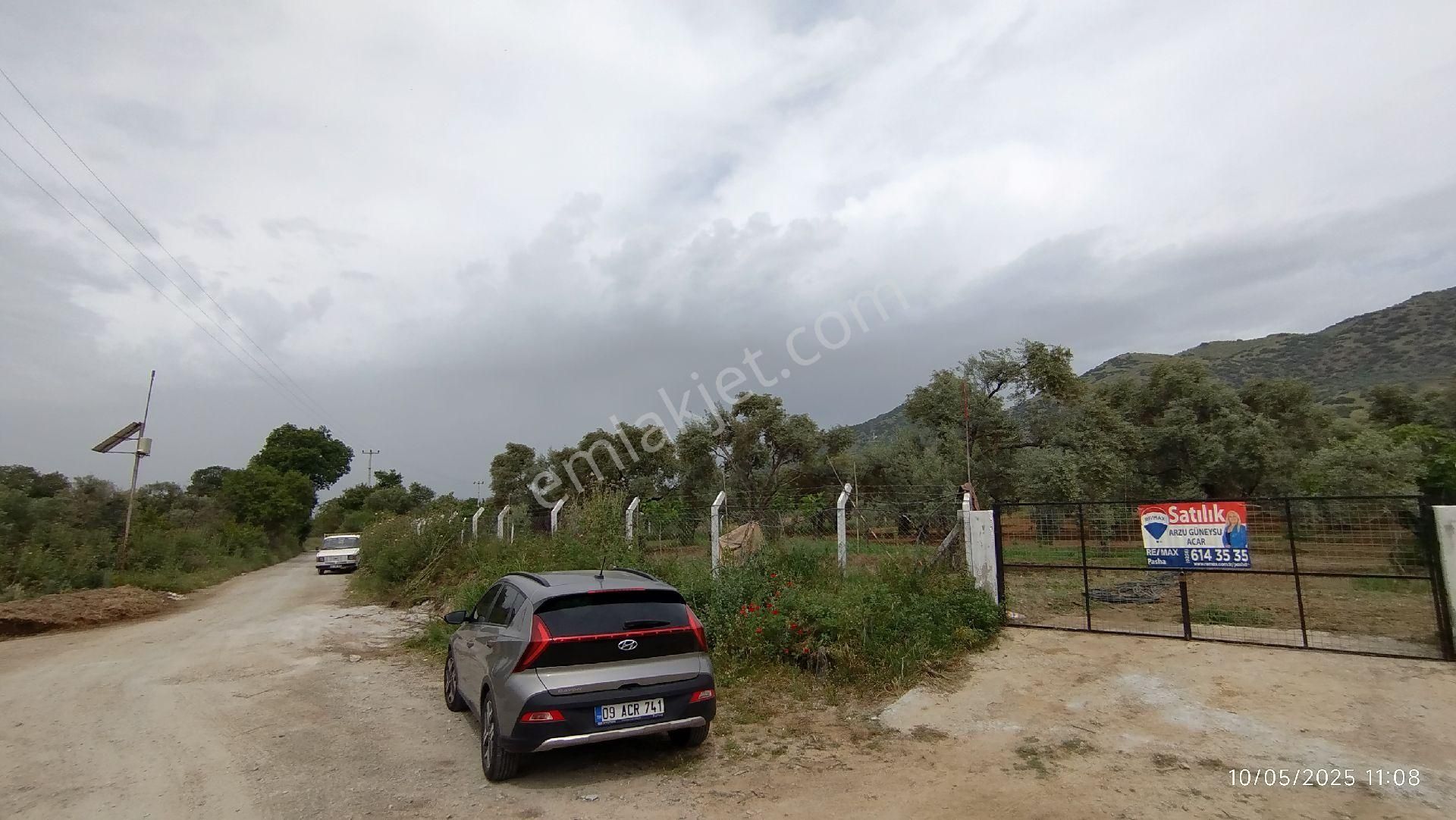 Aydın Germencik Ömerbeyli De Satılık 12 Dönüm Zeytin Bahçesi - Görsel 19