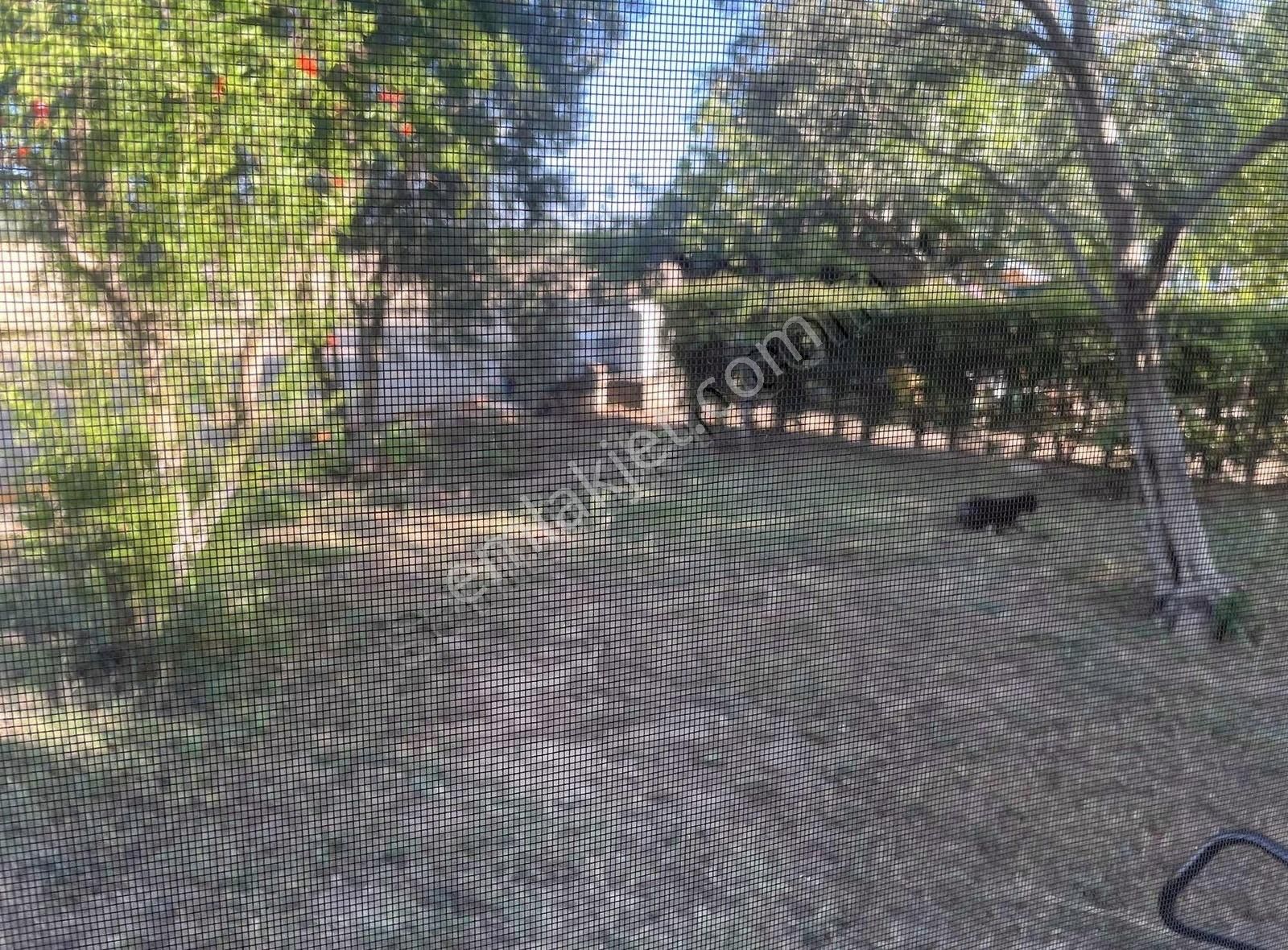 Gömeç Neşe Emlak Tan Sahil De Eşyalı Kiralık Villa