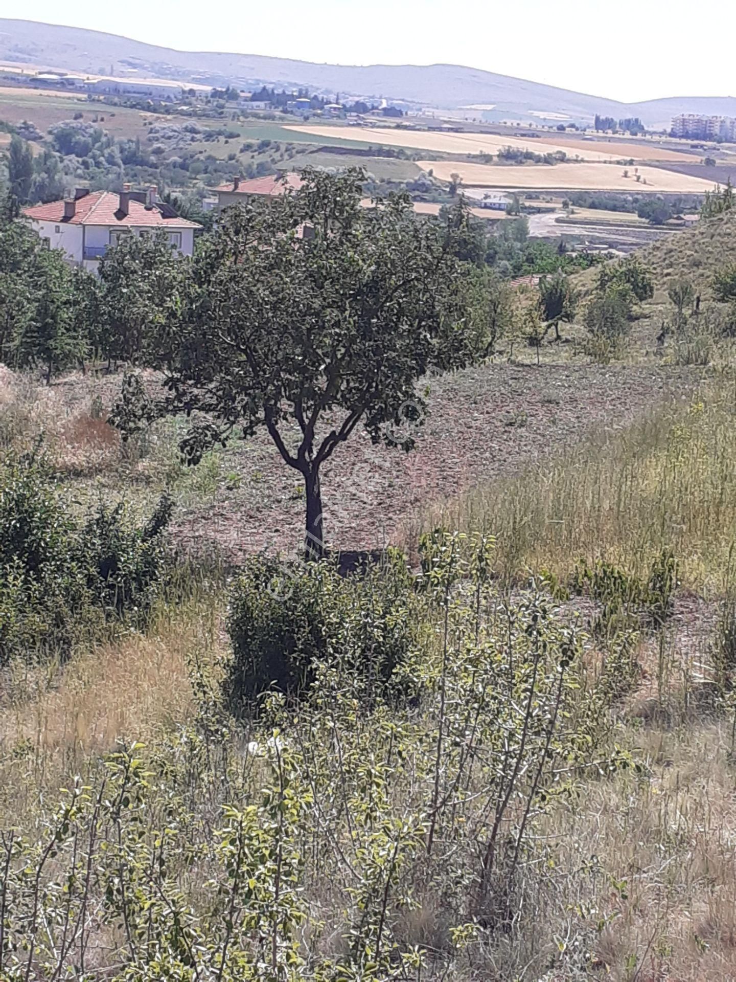 Sahibinden Çubuk Aşağıçavundur Da Yatırımlık Arsa